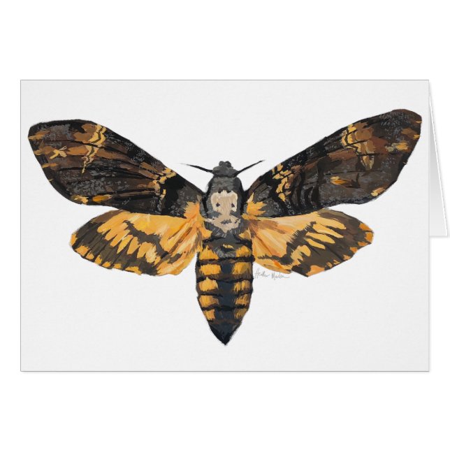 Doodse hoofdmoth (Voorkant Horizontaal)