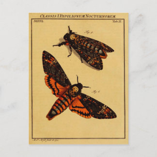 Doodse hoofdmoth briefkaart