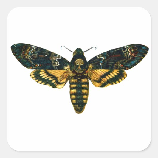 Doodse hoofdmoth vierkante sticker (Voorkant)