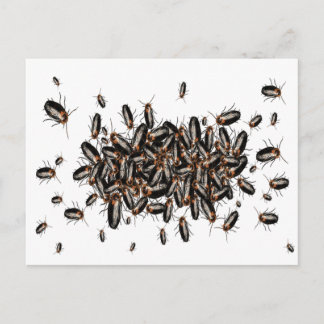 Doodshoofd: Cockroaches Briefkaart