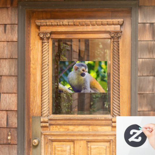 Doodshoofdaapjes in Manuel Antonio NP - Costa Rica Raamsticker (Huis Deur)