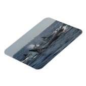 doodwalvis magneet (Linkerzijde)