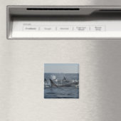 doodwalvis magneet (Insitu (Vaatwasser))