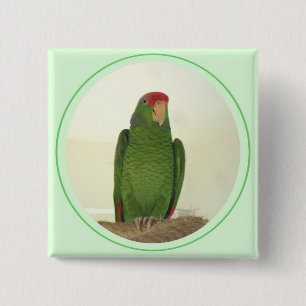 Dooley 1 vierkante button 5,1 cm