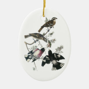 Door Audubon geplet roos Grosbeak Keramisch Ornament
