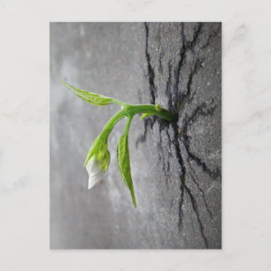 Door beton briefkaart