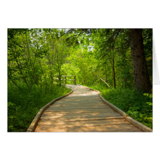 Door bomen bepaald pad