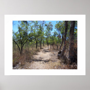 Door de bomen Australië Kleurenfotografie Poster