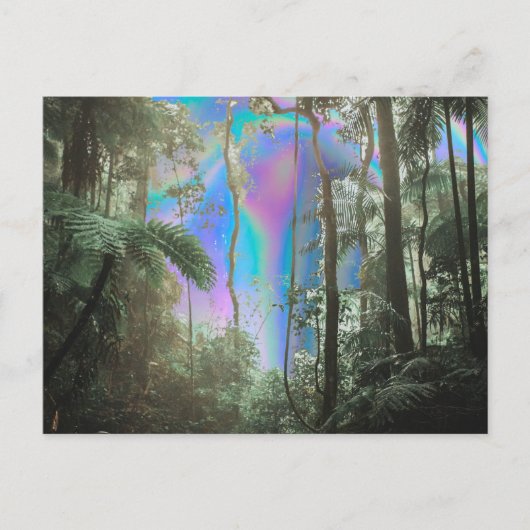 Door de bomen briefkaart (Voorkant)