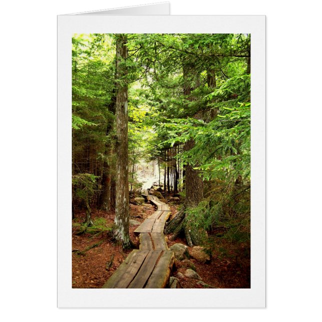 Door de Bossen (Voorkant)