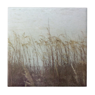 Door de Dunes II Tegeltje