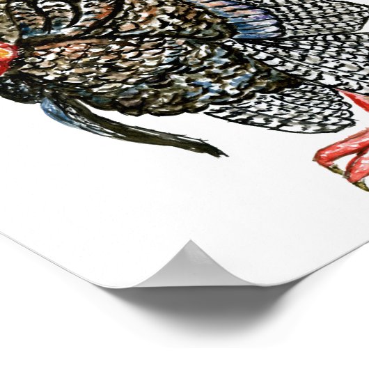 Door de hand getrokken afbeelding van kalkoenen poster (Hoek)