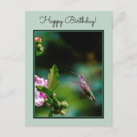 Door de huid geworpen Hummingbird - Originele Foto
