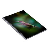 Door de huid geworpen Hummingbird - Originele Foto Notitieboek (Rechterzijde)