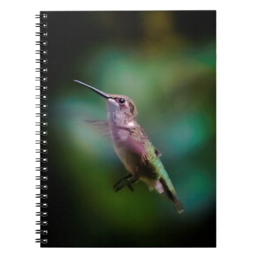 Door de huid geworpen Hummingbird - Originele Foto Notitieboek (Voorkant)