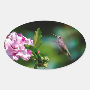 Door de huid geworpen Hummingbird - Originele Foto Ovale Sticker
