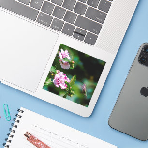 Door de huid geworpen Hummingbird - Originele Foto Sticker