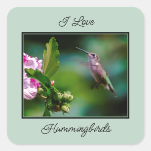 Door de huid geworpen Hummingbird - Originele Foto Vierkante Sticker