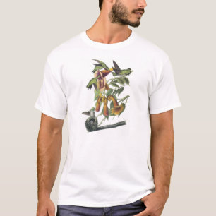 Door de lucht geworpen Hummingbird van Audubon T-shirt