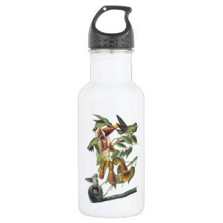 Door de lucht geworpen Hummingbird van Audubon Waterfles