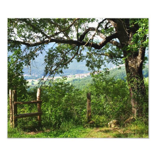 Door de olievlek foto afdruk (Voorkant)