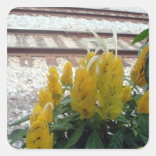 Door de Tracks Sticker