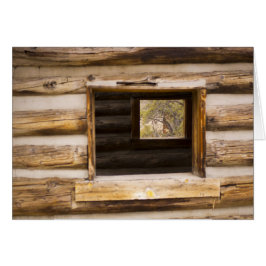 Door en door het raam