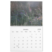 door het arboretum lopen , de natuur kalender (Jan 2026)
