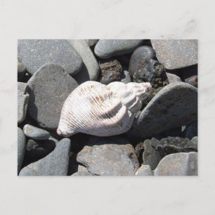 Door het Briefkaart van Seashore