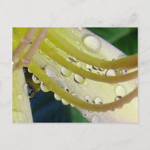 Door het kijkglas briefkaart