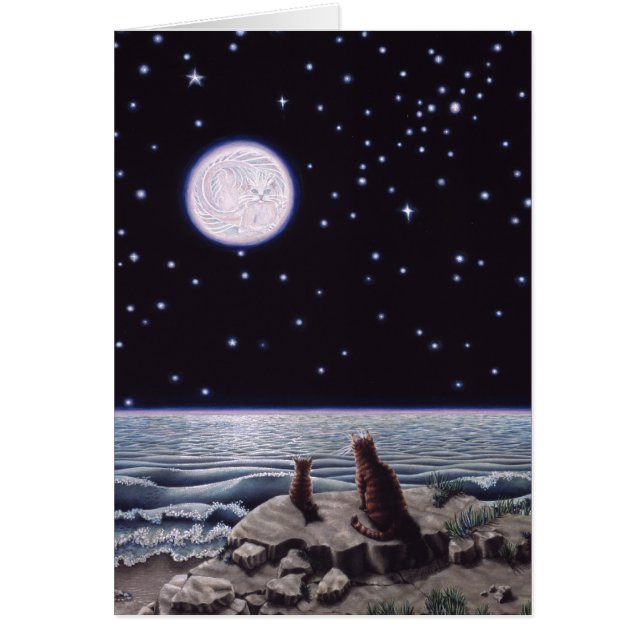 Door het licht van de Kat Fish Moon (Voorkant)