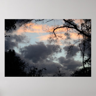 Door het Poster Trees