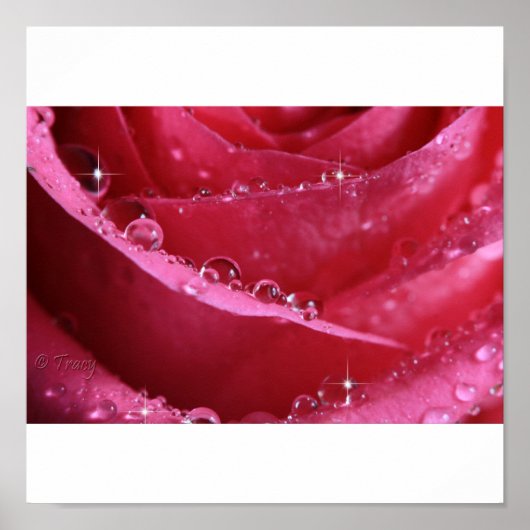 Door het raam van het licht poster (Voorkant)