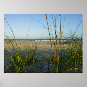 Door het Zee haver Poster