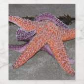 Door het Zee Star Wijn Etiket (Enkel label)