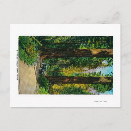 Door reuzenbos, sequoia's briefkaart (Voorkant)