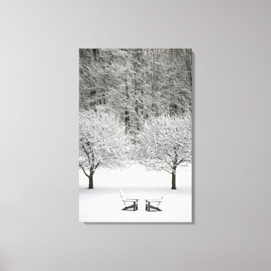 Door sneeuw bedekt landschap canvas afdruk (Voorkant)