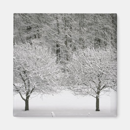 Door sneeuw bedekt landschap magneet (Voorkant)