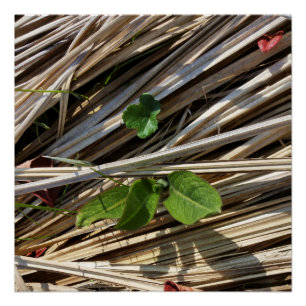 doorbreken perfect poster