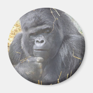 Doordachte Gorilla Magneet