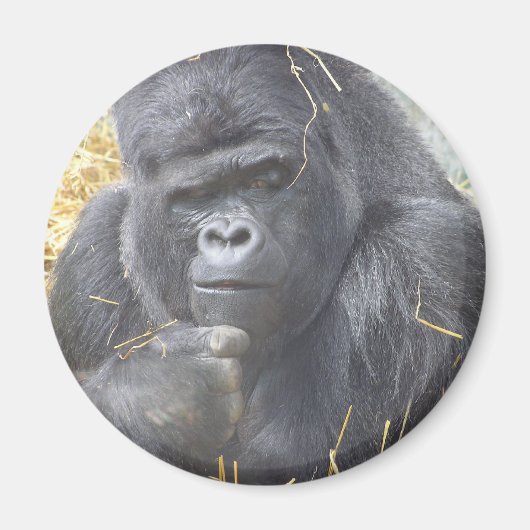 Doordachte Gorilla Magneet (Voorkant)