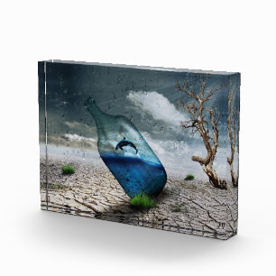 Doordringende walvis in fles fotoblokken