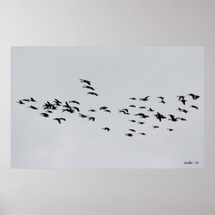 Doorgaan met 1 poster