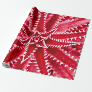 doorn cactus, natuurlijk patroon, abstracte rode r cadeaupapier