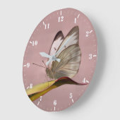 Doornhaai Grote Klok (Hoek)