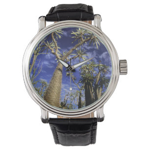 Doornig bos gevormd door Pachypodium-bomen Horloge