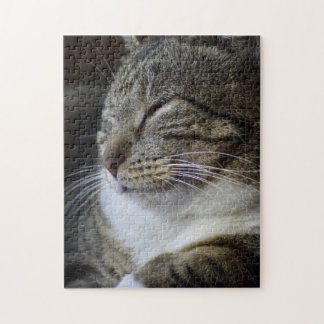 Doornroosje - Lapjeskat Legpuzzel