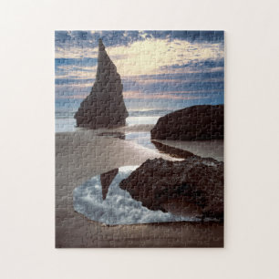 Doornvormige zeestack Face Rock Wayside, OR Legpuzzel