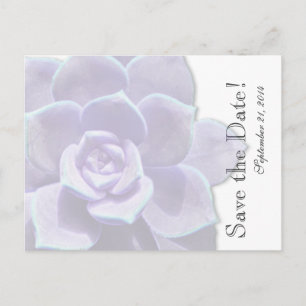 Doorschijnende Lila succulent save the date Aankondigingskaart