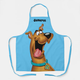 Doorsnede Schort